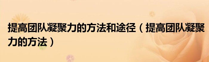 提高团队凝聚力的方法和途径（提高团队凝聚力的方法）