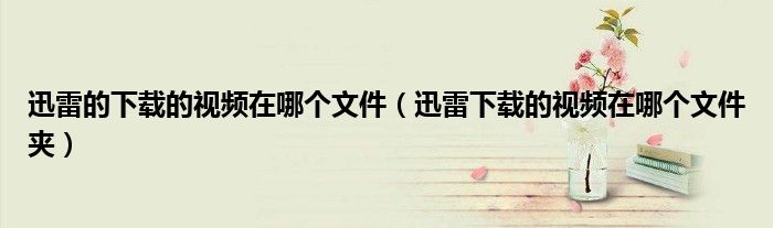 迅雷的下载的视频在哪个文件（迅雷下载的视频在哪个文件夹）