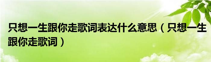 只想一生跟你走歌词表达什么意思（只想一生跟你走歌词）