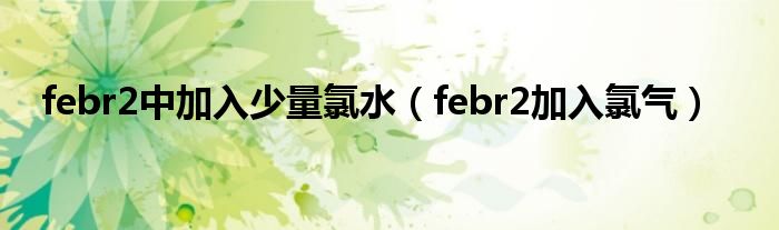 febr2中加入少量氯水（febr2加入氯气）
