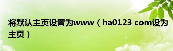 将默认主页设置为www（ha0123 com设为主页）