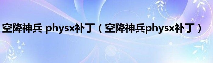 空降神兵 physx补丁（空降神兵physx补丁）