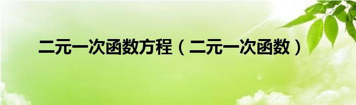 二元一次函数方程（二元一次函数）