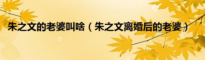 朱之文的老婆叫啥（朱之文离婚后的老婆）