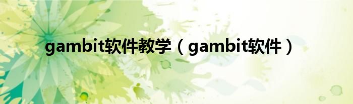 gambit软件教学（gambit软件）