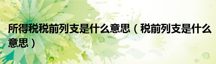 所得税税前列支是什么意思（税前列支是什么意思）