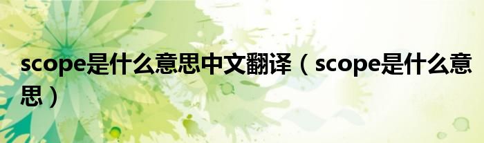 scope是什么意思中文翻译（scope是什么意思）