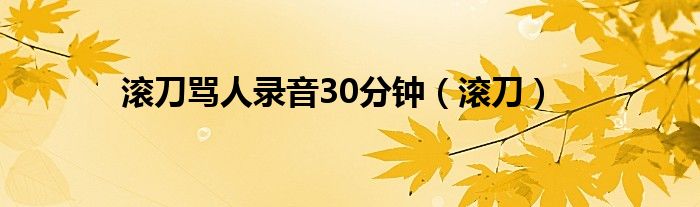滚刀骂人录音30分钟（滚刀）