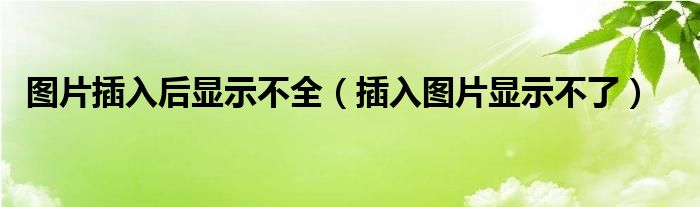 图片插入后显示不全（插入图片显示不了）