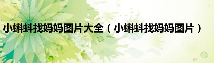 小蝌蚪找妈妈图片大全（小蝌蚪找妈妈图片）