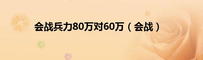 会战兵力80万对60万（会战）