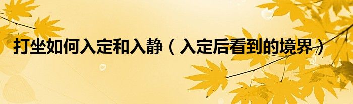 打坐如何入定和入静（入定后看到的境界）