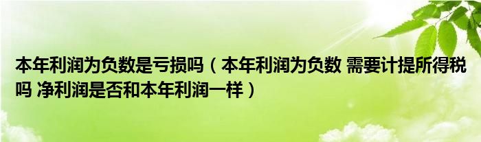 本年利润为负数是亏损吗（本年利润为负数 需要计提所得税吗 净利润是否和本年利润一样）