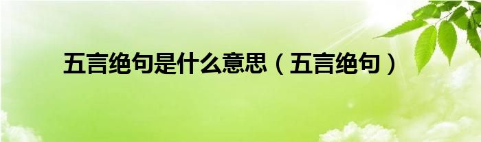 五言绝句是什么意思（五言绝句）