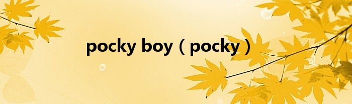 pocky boy（pocky）