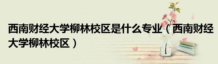 西南财经大学柳林校区是什么专业（西南财经大学柳林校区）