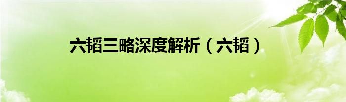 六韬三略深度解析（六韬）