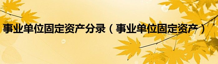 事业单位固定资产分录（事业单位固定资产）