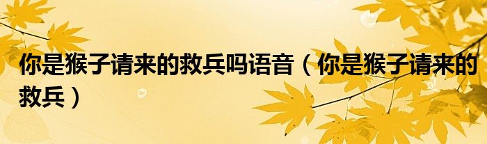 你是猴子请来的救兵吗语音（你是猴子请来的救兵）