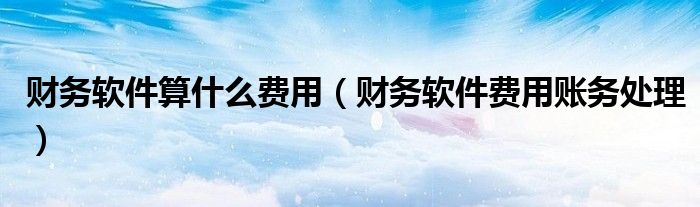 财务软件算什么费用（财务软件费用账务处理）