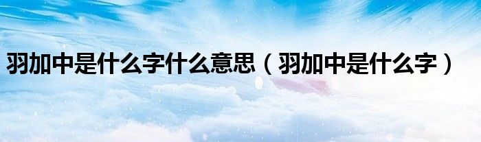羽加中是什么字什么意思（羽加中是什么字）