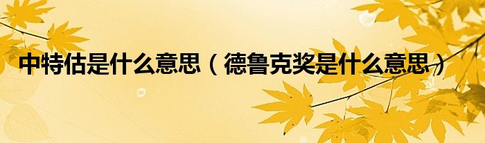 中特估是什么意思（德鲁克奖是什么意思）