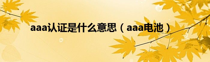 aaa认证是什么意思（aaa电池）