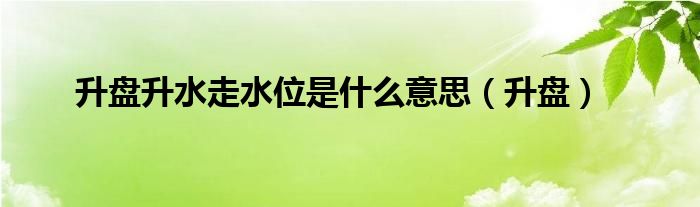 升盘升水走水位是什么意思（升盘）