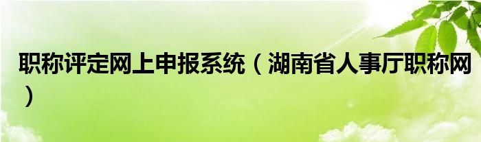职称评定网上申报系统（湖南省人事厅职称网）