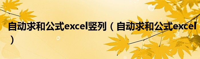 自动求和公式excel竖列（自动求和公式excel）