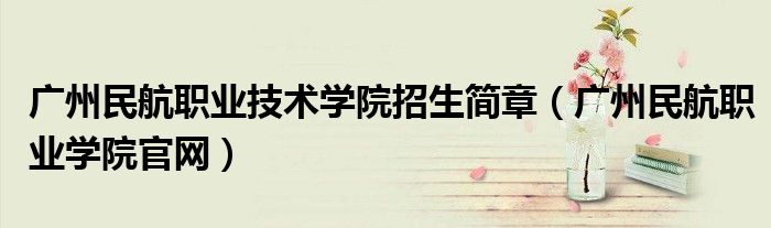 广州民航职业技术学院招生简章（广州民航职业学院官网）