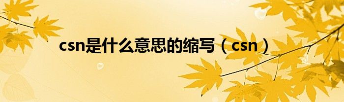csn是什么意思的缩写（csn）