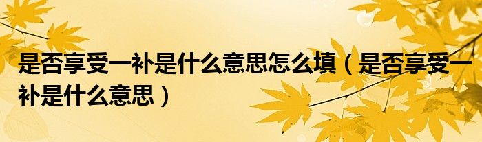 是否享受一补是什么意思怎么填（是否享受一补是什么意思）