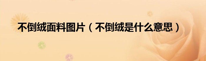 不倒绒面料图片（不倒绒是什么意思）