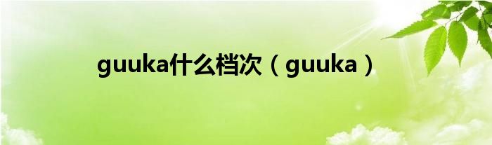 guuka什么档次（guuka）