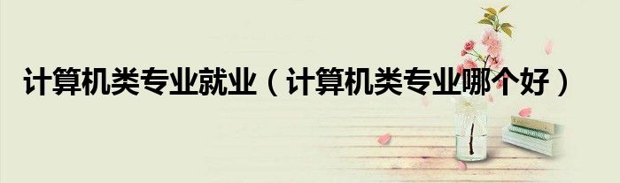 计算机类专业就业（计算机类专业哪个好）