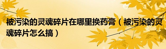 被污染的灵魂碎片在哪里换药膏（被污染的灵魂碎片怎么搞）