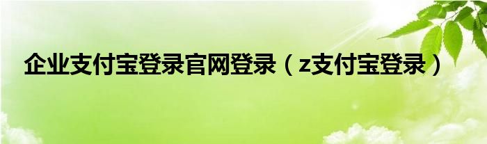 企业支付宝登录官网登录（z支付宝登录）