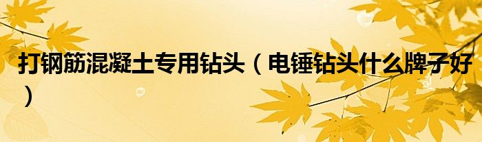 打钢筋混凝土专用钻头（电锤钻头什么牌子好）