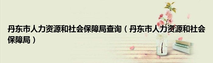 丹东市人力资源和社会保障局查询（丹东市人力资源和社会保障局）