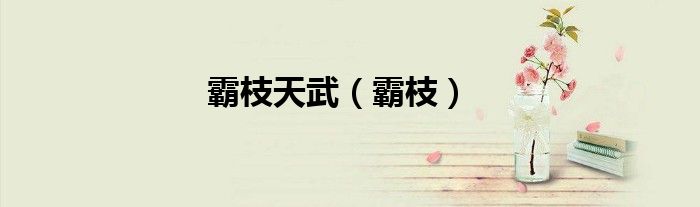 霸枝天武（霸枝）