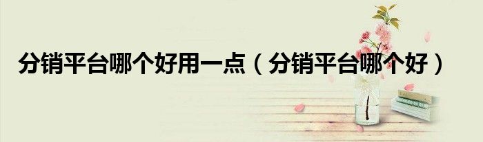 分销平台哪个好用一点（分销平台哪个好）