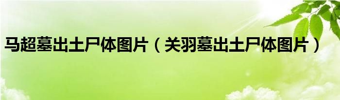 马超墓出土尸体图片（关羽墓出土尸体图片）