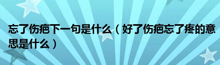 忘了伤疤下一句是什么（好了伤疤忘了疼的意思是什么）