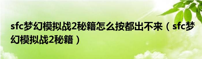 sfc梦幻模拟战2秘籍怎么按都出不来（sfc梦幻模拟战2秘籍）