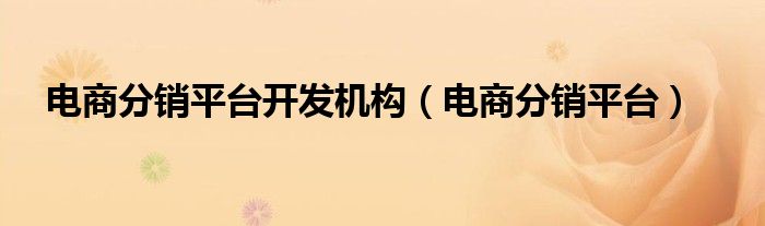 电商分销平台开发机构（电商分销平台）