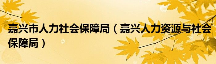 嘉兴市人力社会保障局（嘉兴人力资源与社会保障局）