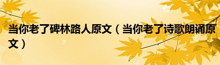 当你老了碑林路人原文（当你老了诗歌朗诵原文）