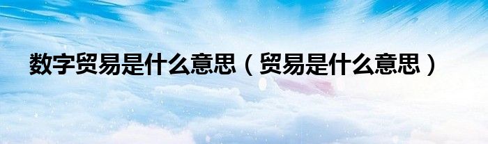 数字贸易是什么意思（贸易是什么意思）