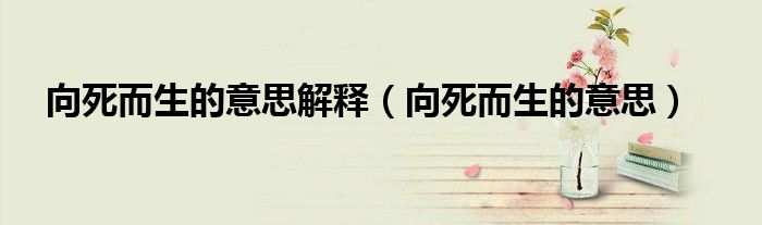 向死而生的意思解释（向死而生的意思）